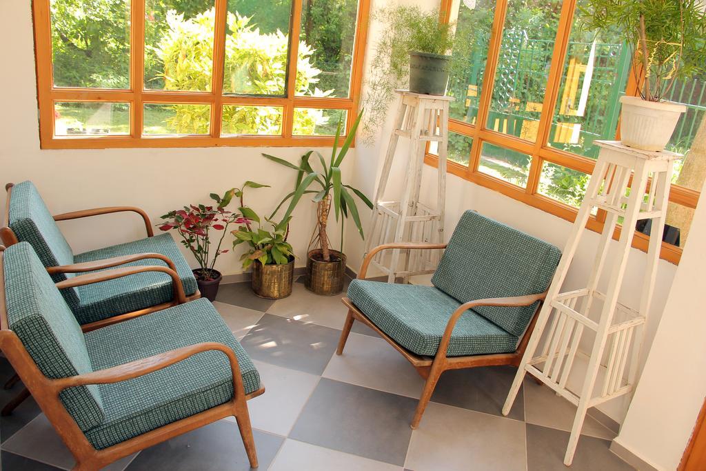 Zeravica Rooms B&B Sremski Karlovci Extérieur photo